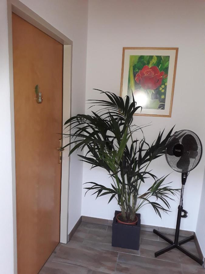 게믈리츠 Obsthof Glueck B&B 외부 사진